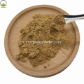 Extrait d'herbes naturelles Horny Goat Weed Extract Icariin